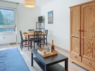 Studio Castel des roches A36 by Interhome - 7