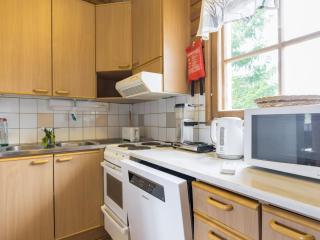 Holiday Home Keltavuokko by Interhome - 1