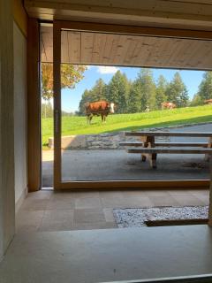 Renovated mountain farm with hot tub - 5