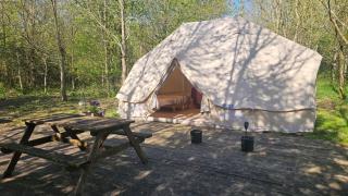 DGG Woodland Escape - 8