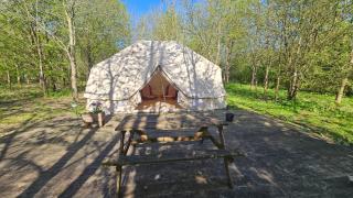 DGG Woodland Escape - 7