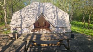 DGG Woodland Escape - 6