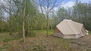 DGG Woodland Escape - 5