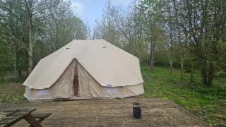 DGG Woodland Escape - 4