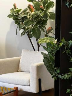 Urban Jungle Studio #212, Downtown, AC - 1