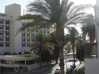 Guava Apt Downtown - 3