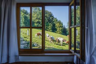 Urlaub am Bauernhof Anzerberg Salzkammergut - 2