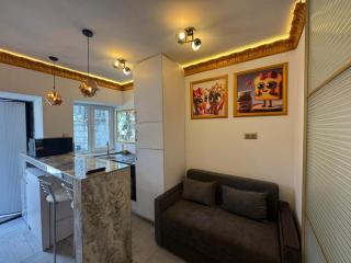 Emenescu Central Properties - 8