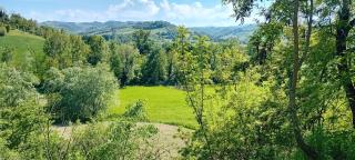 La Collina dei Conigli - immersi nella natura - 2