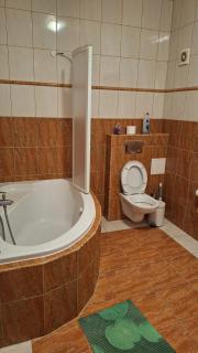 Statek Otradovice hotel - 6