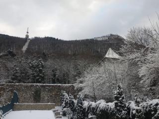 StayNATURAL Brasov Center - 4