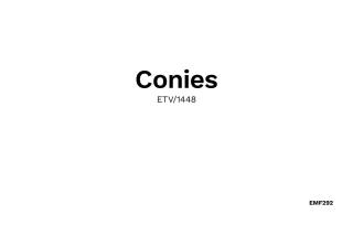 Conies Vell - 9