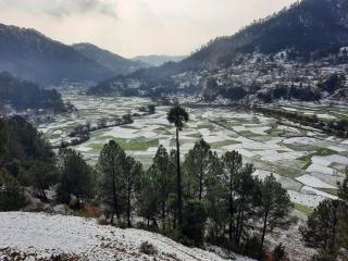 Odyssey Stays Kausani - 7