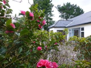 Baurisheen Cottage - 2