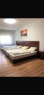 FREE Apartment - Budget - 2