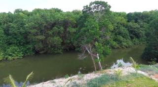 Le Domaine Vert - Nature et Quiétude - En bordure du canal Route Assinie - 9
