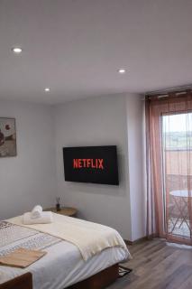 Mont-Royal By Casagers -WiFi-Netflix-Climatisation - 1