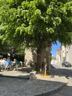 La Maison des Rues Pavées avec jardin by La Boîte En Plus - 1