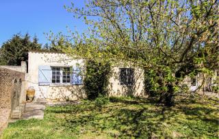 Mazet Des Vignes - 4