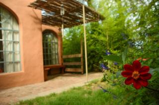 casa bambú - 7