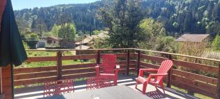 Nouveau ské chalet, SPA privatif, terrain clôturé, garage - 3