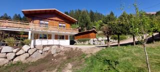 Nouveau ské chalet, SPA privatif, terrain clôturé, garage - 5