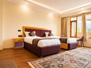 The Ladakh Avenue - 6