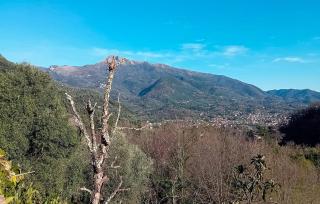 3 Bedroom Gorgeous Home In Camaiore - 9