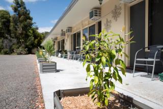 Gariwerd Motel - Halls Gap - 4