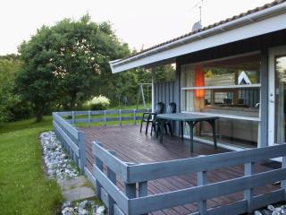 Ferienhaus-mit-grossen-Fensterfronten-Terrasse-und-viel-Licht - 6