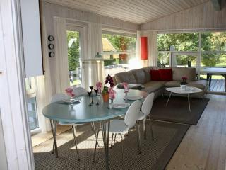 Ferienhaus-mit-grossen-Fensterfronten-Terrasse-und-viel-Licht - 4