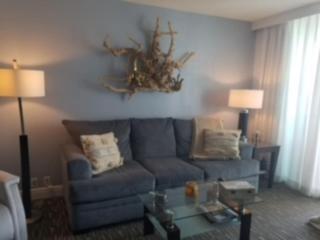 Atlantic Intracoastal Vista - 2