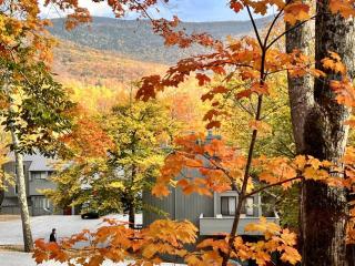 3 Bedroom Townhouse Sleeps 7 Pool Near Loon - 4