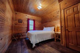 Cozy and secluded 2-bedroom Pine Grove Cabin - 1