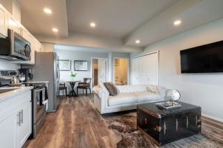 Modern 1BR Condo with Bay Views Walk to Dome AC Parking Included - 4