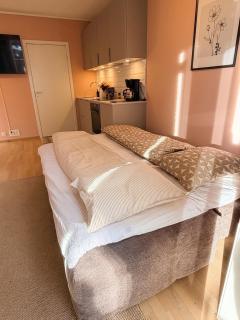 Cosy Oslo Studio , Garage , Self Check-in , WiFi - 2