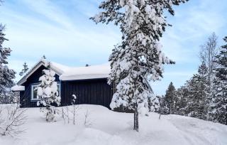 3 Bedroom Nice Home In Fannrem - 1