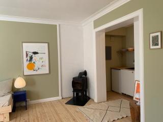 Cozy Scandinavian studio apartment - 2