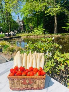 Hotel Landgoed Zonheuvel - 2