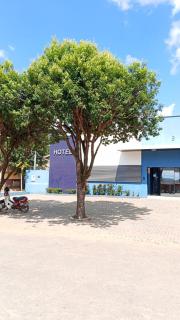 Hotel Canedo - 0