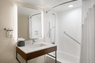 Holiday Inn Miami International Airport by IHG - 3