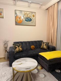 Nicely furnished One bedroom near JKIA and SGR - 1