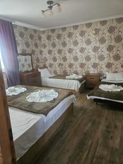 NISS House - Akhaltsikhe - 8