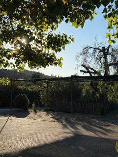 B&B La Formichina - 7
