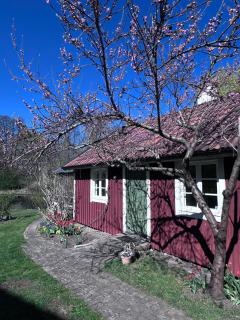 Isans stuga - 4