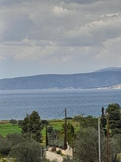 Villa RUSTICANA - 5