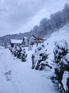 Vibe House Madisson - Braşov - 3