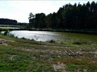 Gościniec nad Dobrzycą - 6