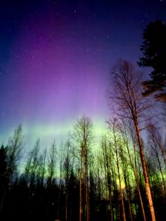 Private Aurora Cabin Experience by the Lake - Ranua - 6
