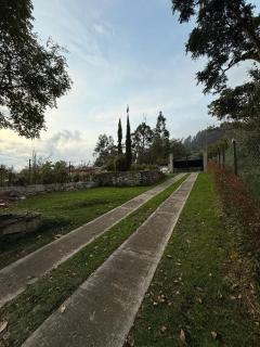 Bosque Chalet - 2
